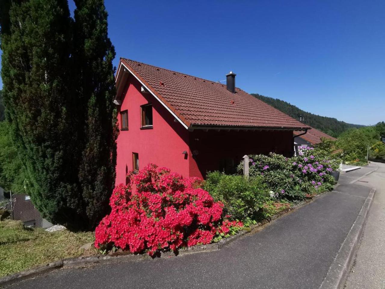 Ferienwohnung Am Rubersbach Hornberg Bagian luar foto